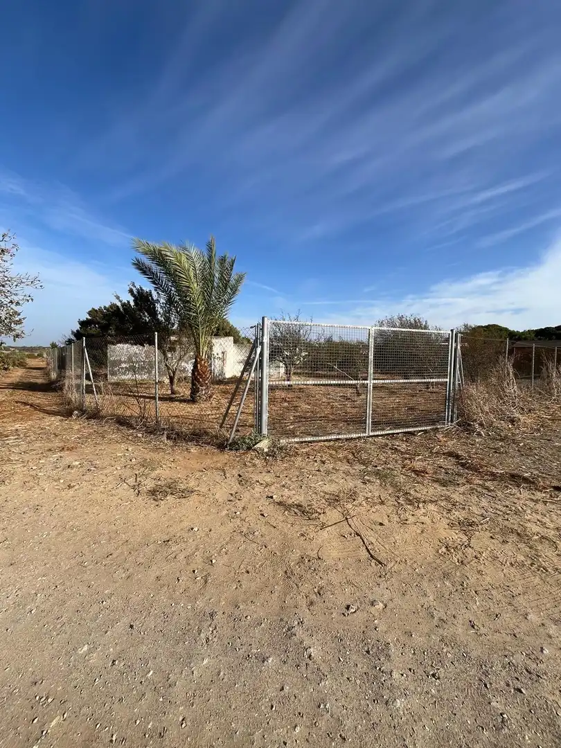 Rustikales Grundstück zum Verkauf in hozanejos pago huno, imagen 6