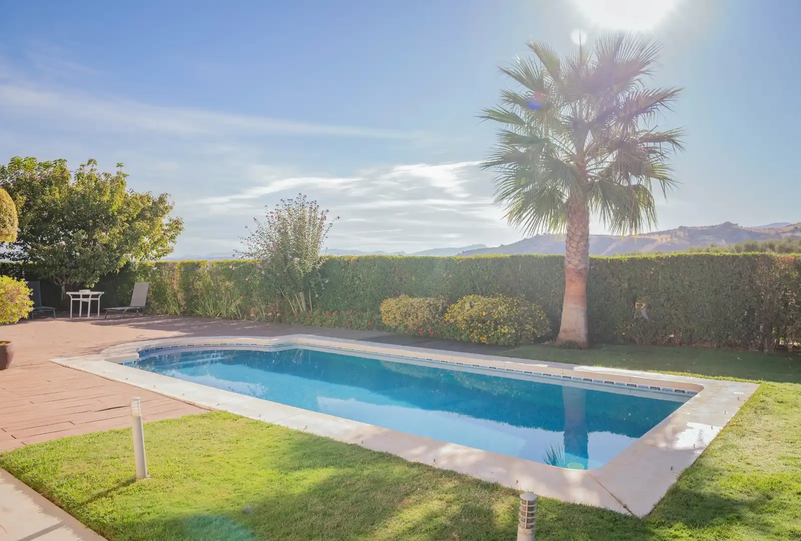 Swimming pool of Houses for sale in Centro