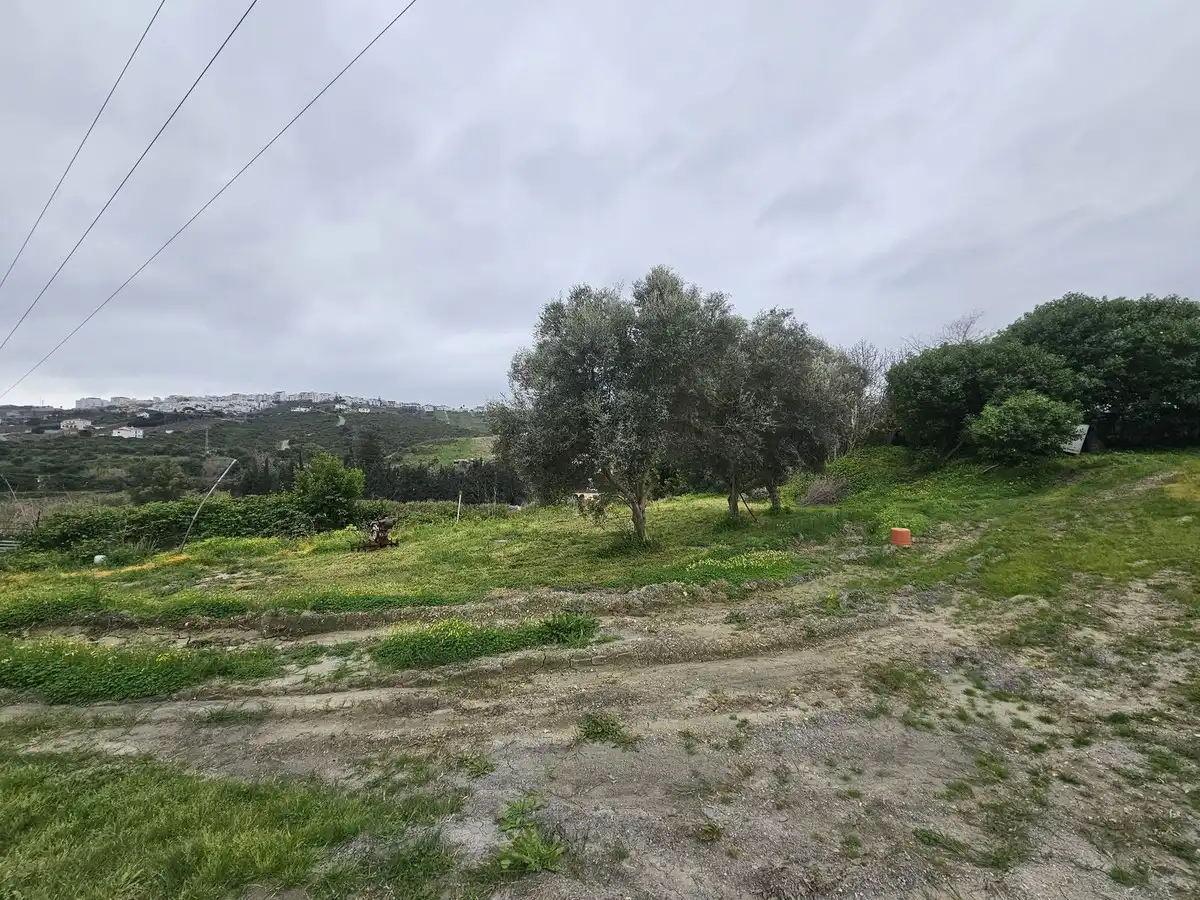 Maison à vendre à Manilva Pueblo, imagen 6