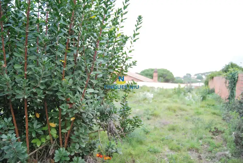 Terreny residencial en venda a Carrer Juli Cèsar 197, imagen 9