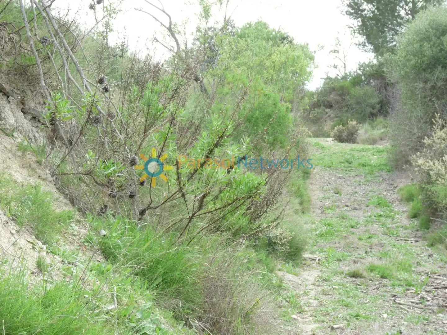 Country homes for sale in Castelló de Rugat  with Terrace and Storage room