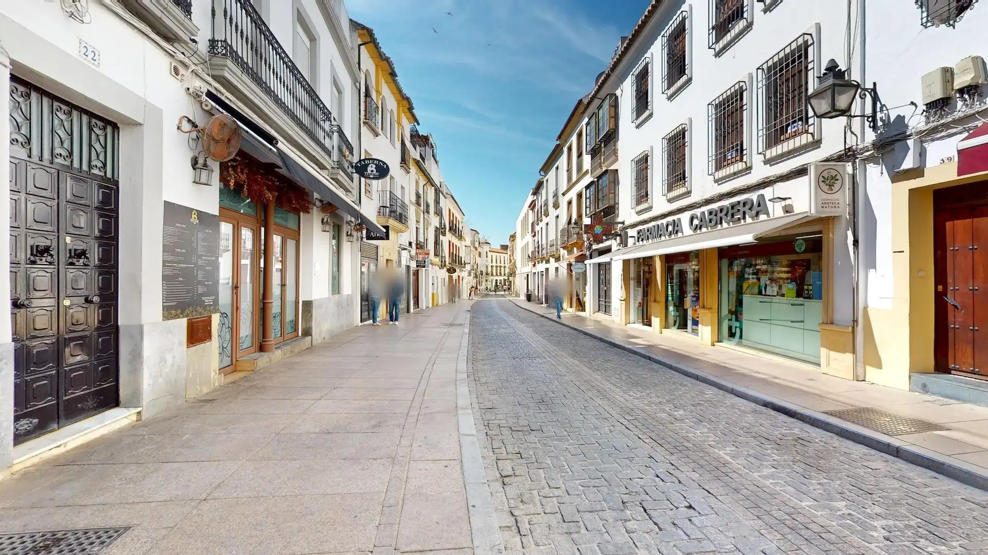 Casa con terraza en venta en Calle LUCANO, imagen 40
