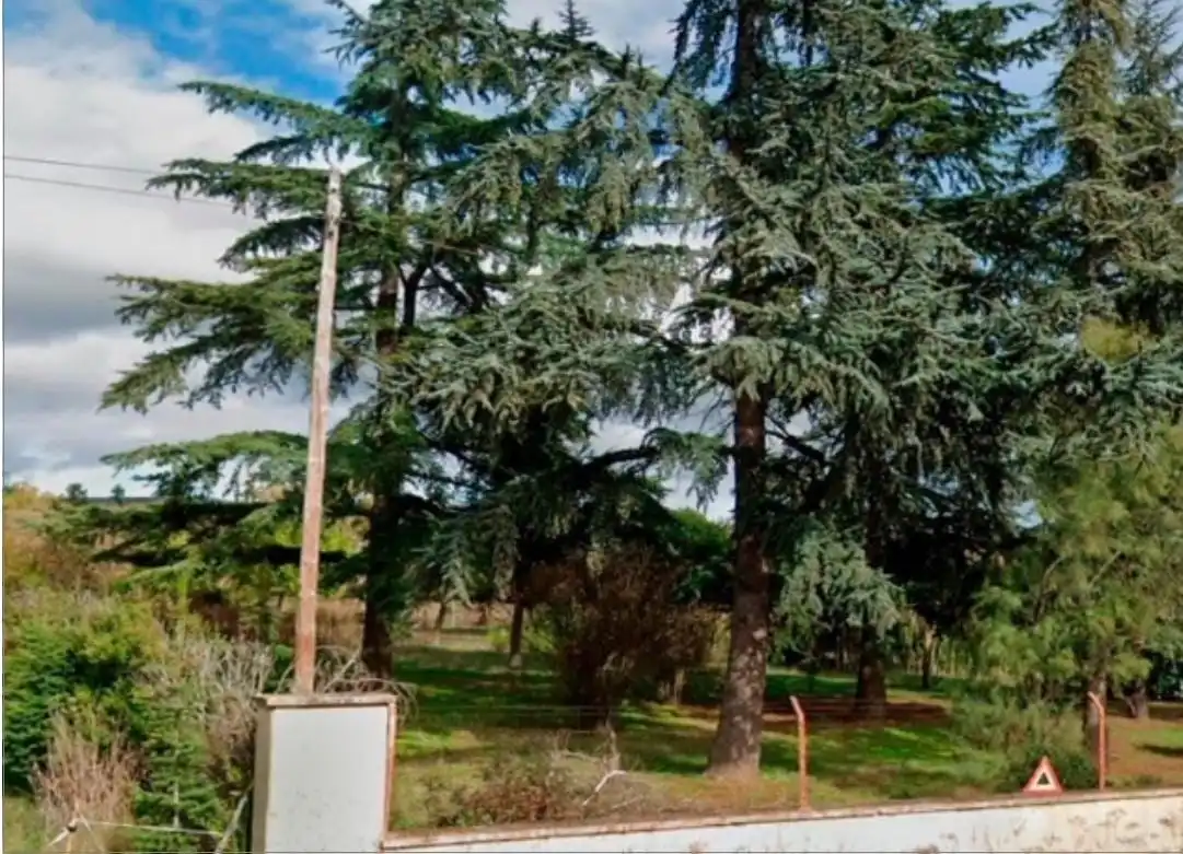 Terreni e lotti in vendita a Garrafe de Torío, imagen 3