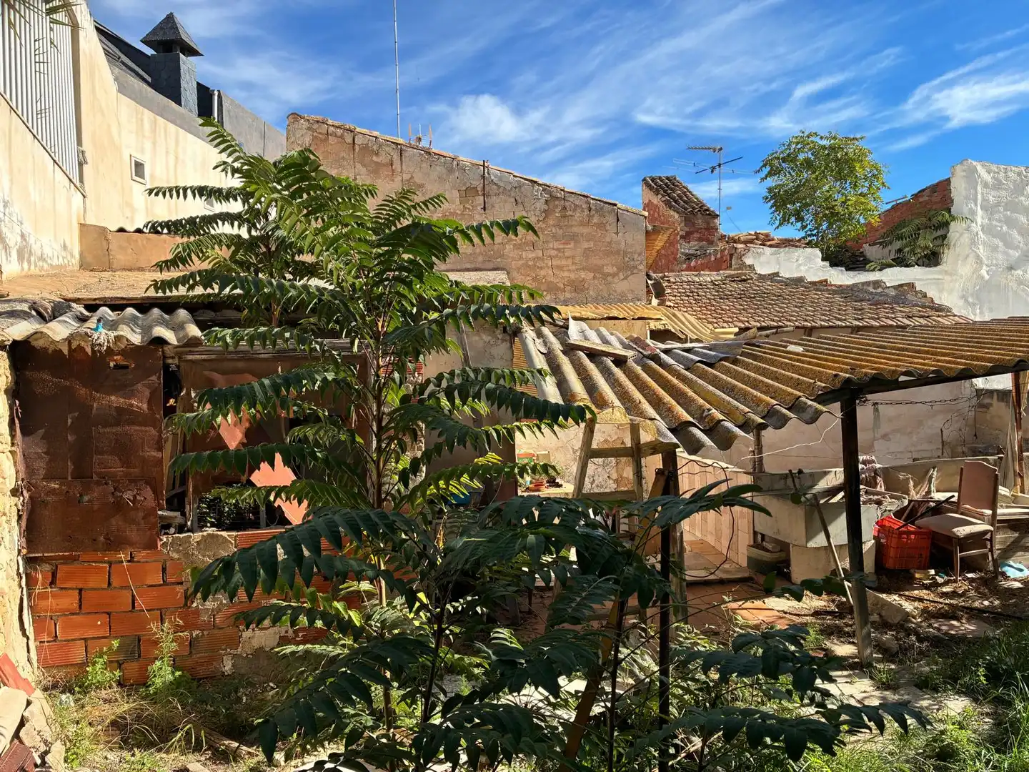Exterior view of Houses for sale in Aspe