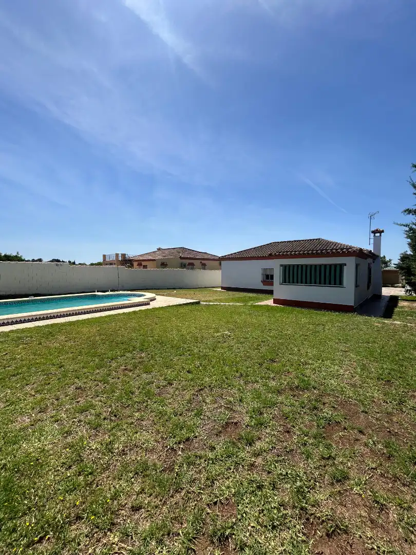 Swimming pool of Houses for sale in Chiclana de la Frontera