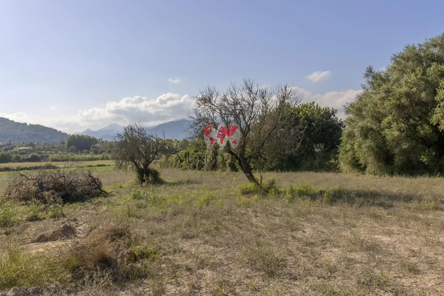 Terrenys i solars en venda a Polígono 6 parcela, imagen 6