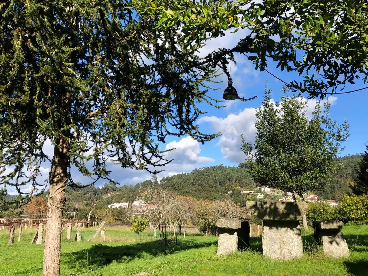 Jardín de Casa o chalet en venta en Caldas de Reis
