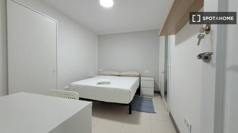 Foto 3 de Pis per a compartir a La Torrassa, Barcelona