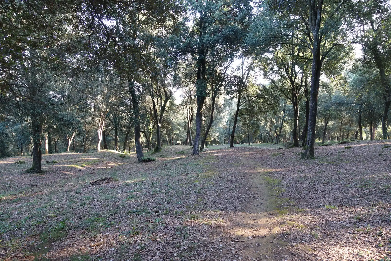 Terreno residenziale in vendita a Diseminado Afueras, imagen 4