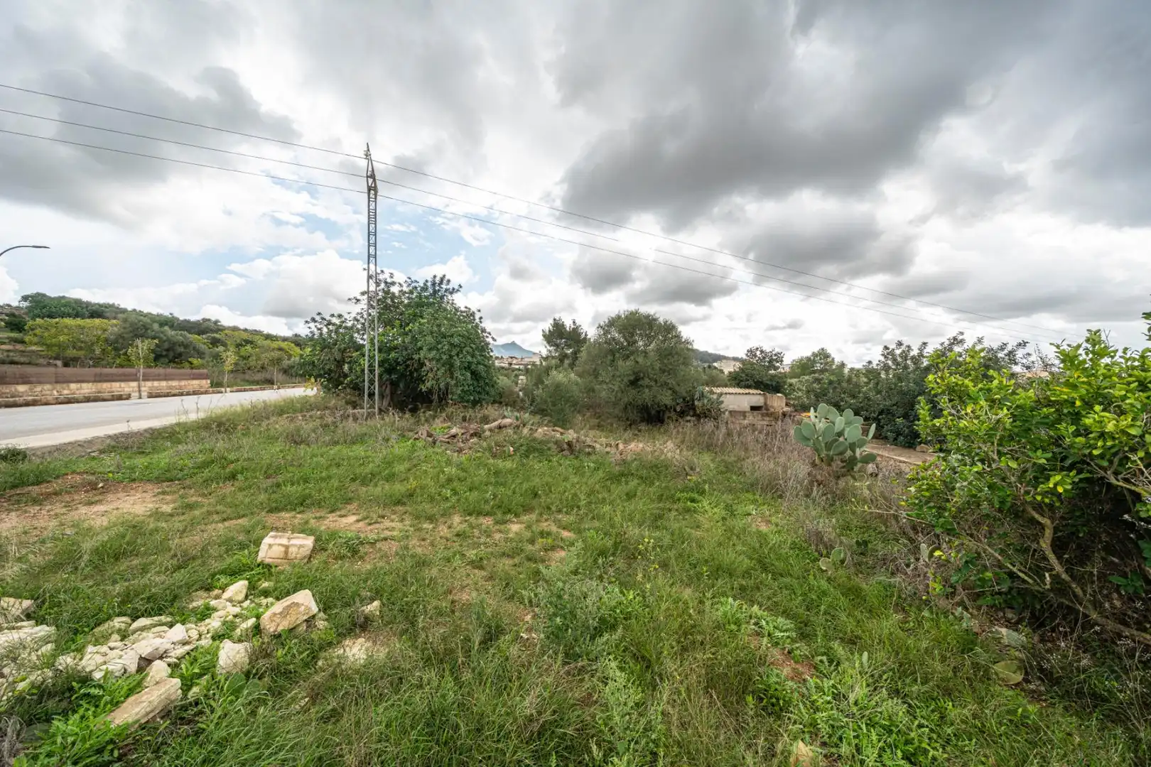Rural land for sale in Felanitx Poble, imagen 16