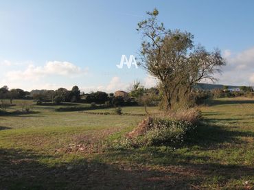 Terreny rústic en venda a Jorba