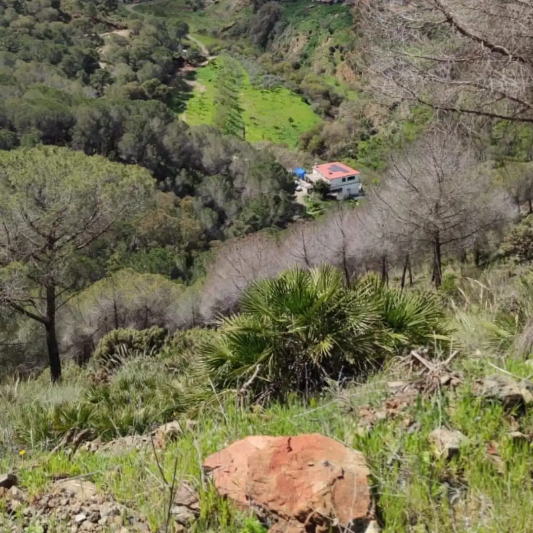 Casa rustica in vendita a Camino Los Guaperos , Paraje Majada Llana,, imagen 20