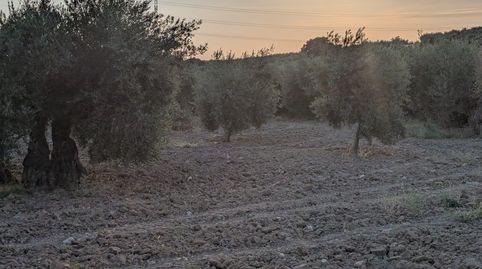 Foto 3 de Terreno en venta en N/a, -1, Lopera, Jaén