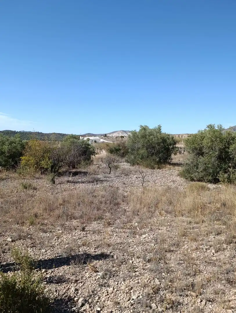Terreno rustico in vendita a Hondón de las Nieves / El Fondó de les Neus, imagen 31