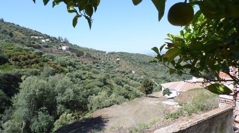 Foto 5 de Finca rústica en venta en Sayalonga, Málaga