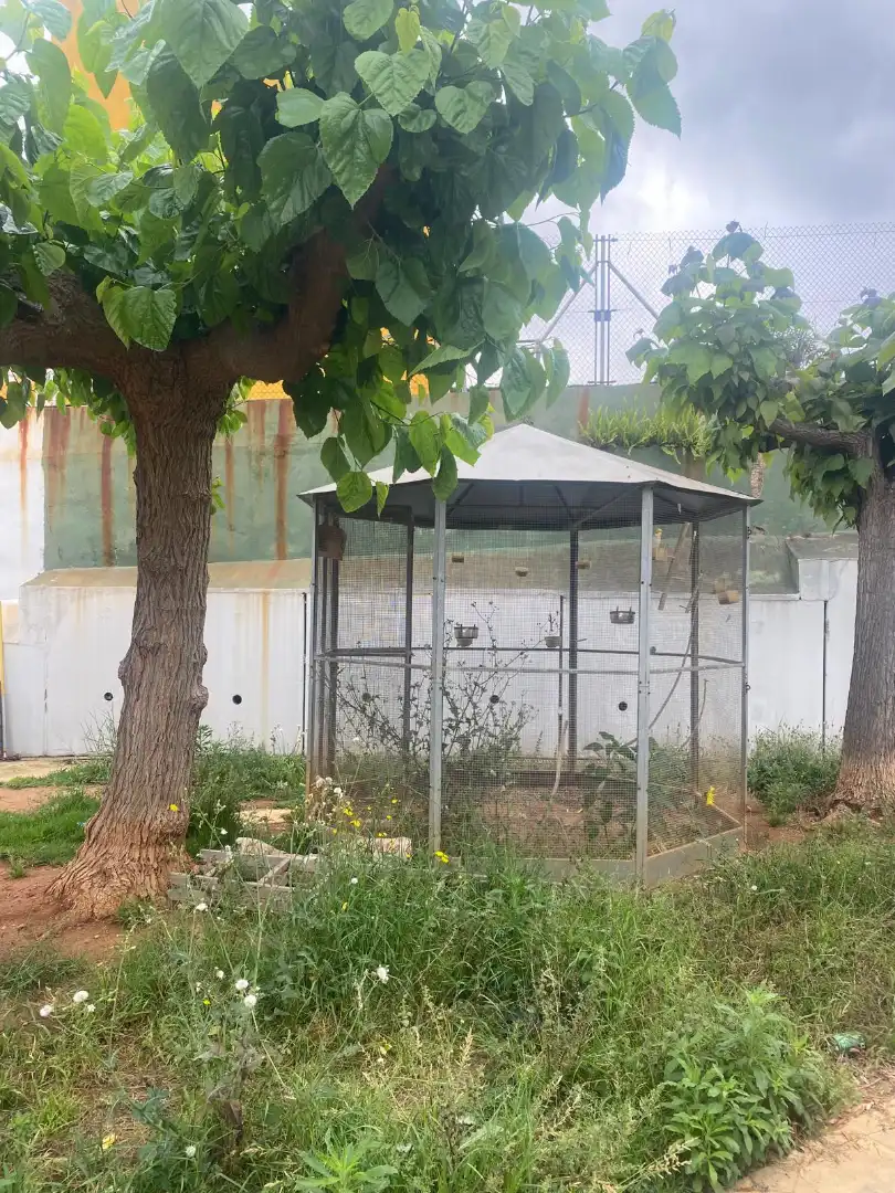 Villa con terrazza in vendita a L'Alcora, imagen 25
