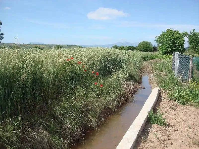Terreny rústic en venda a Villamediana de Iregua, imagen 3