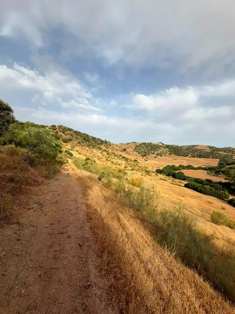 Rural land for sale in Polígono Morón de la Frontera, imagen 7