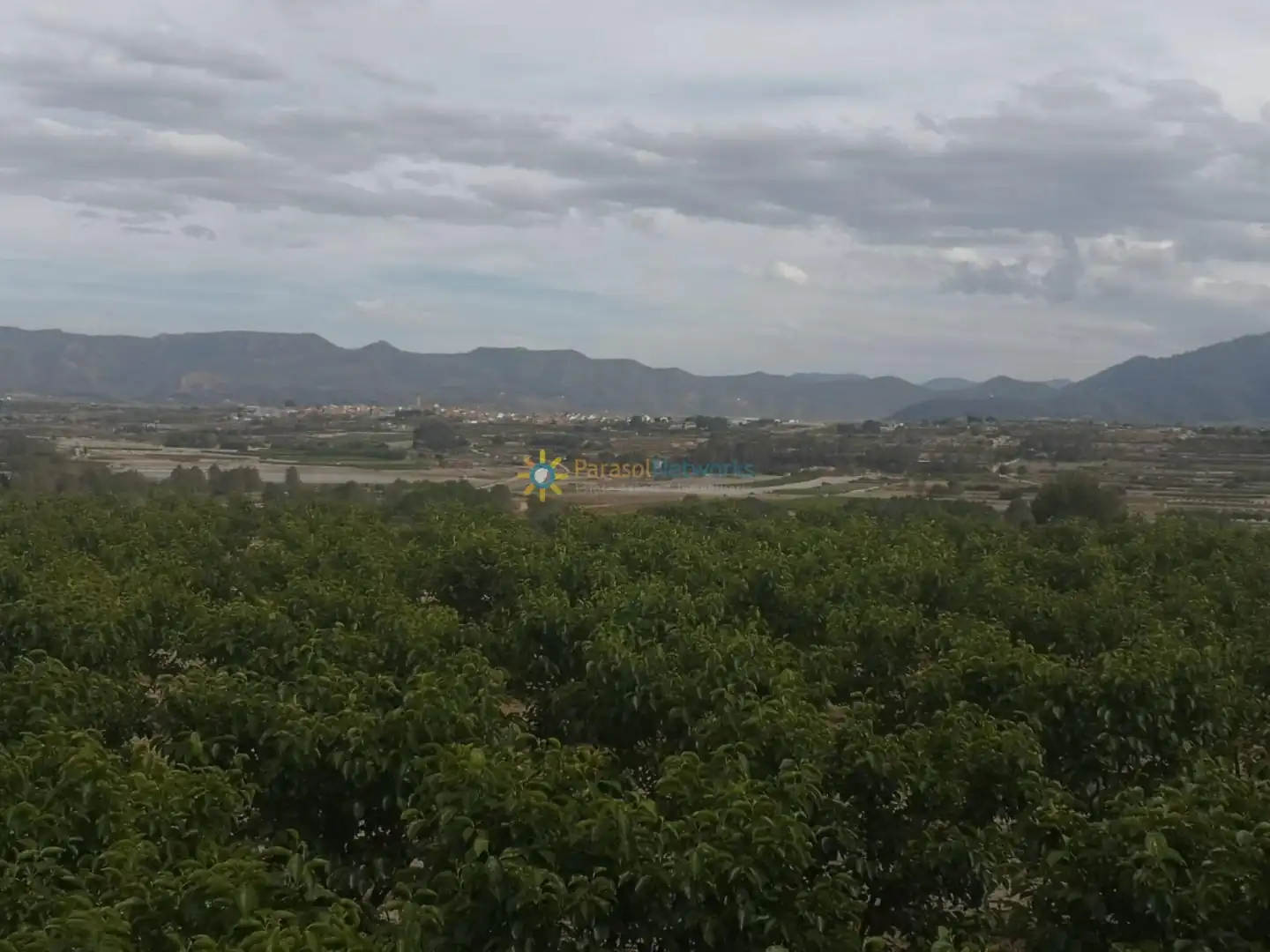 Rural land for sale in Benigànim, imagen 2