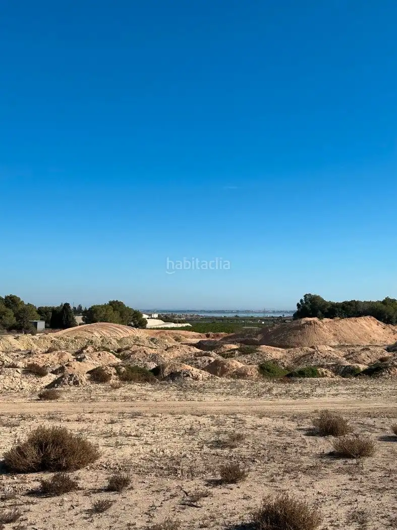 Terrain rustique à vendre à Camino de Catral 31, imagen 19