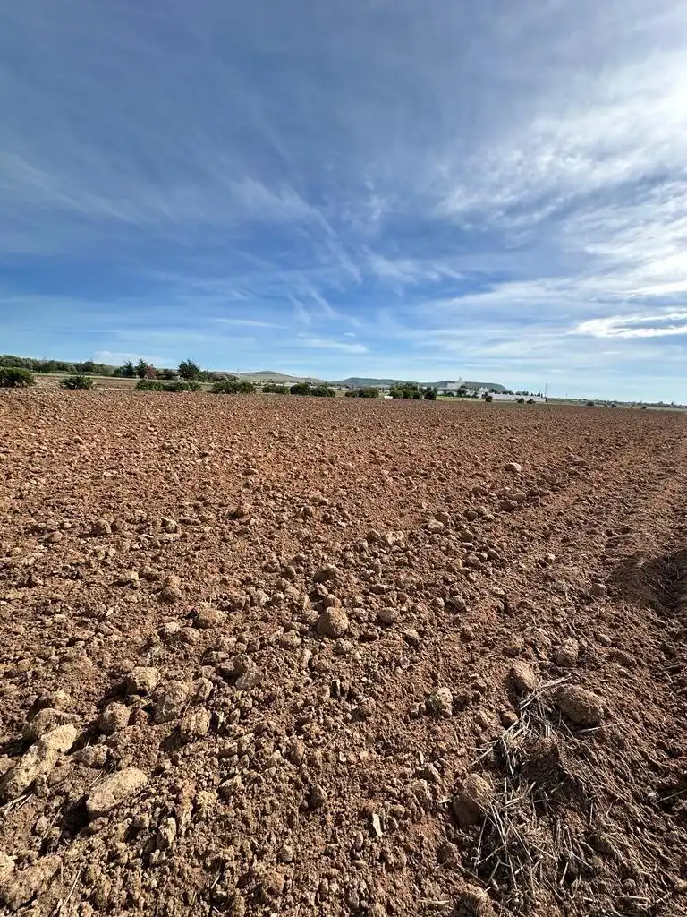 Terreni e lotti in vendita a El Palmar, imagen 9