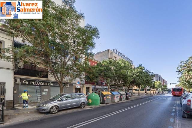 Piso en Venta en Avenida DE DILAR en Barrio de Zaidín