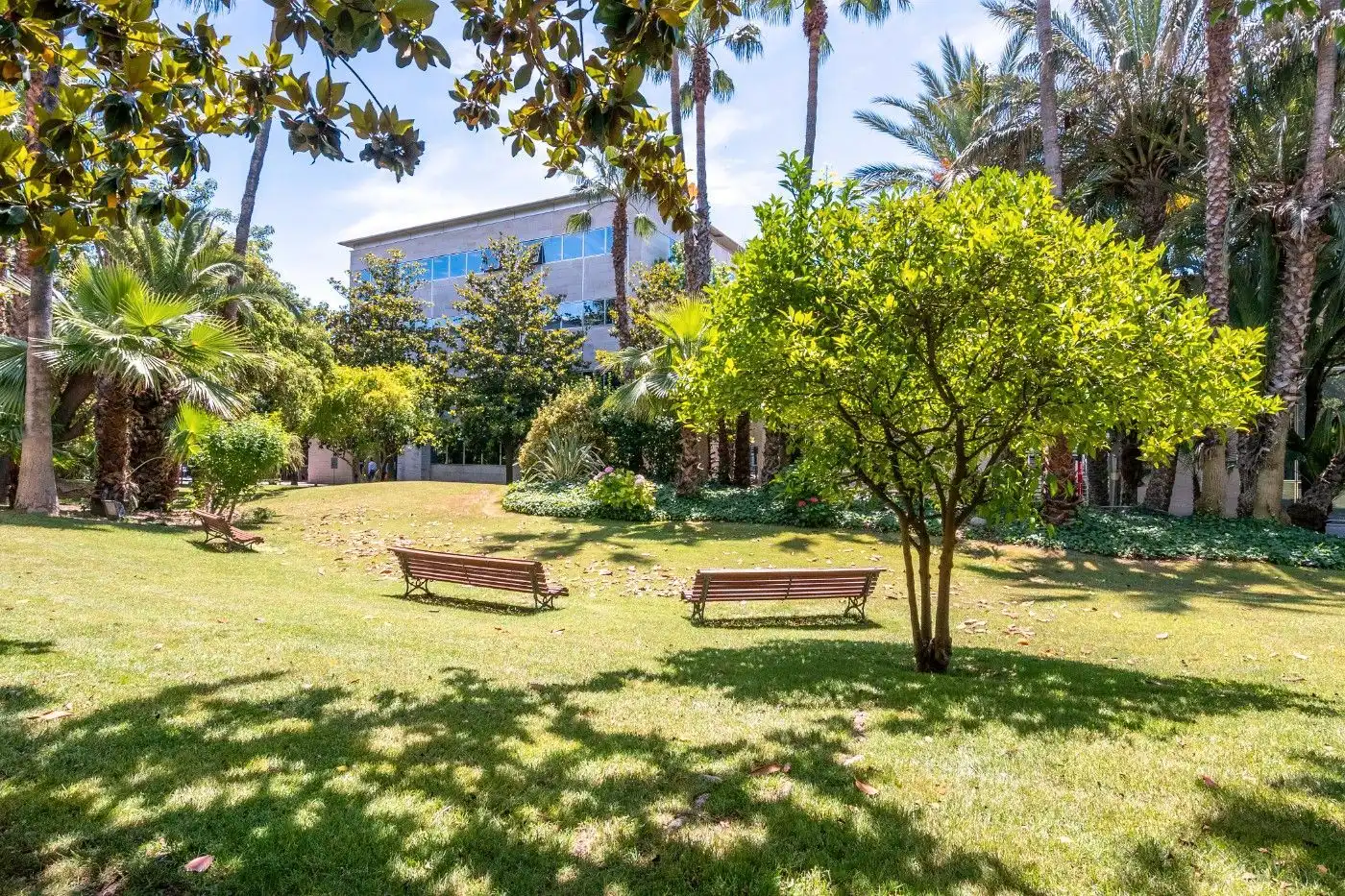 Bureau à louer à Almeda - El Corte Inglés, imagen 29