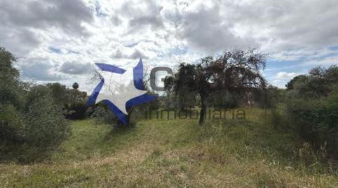 Foto 2 de Pis en venda a Paraíso Arenal - La Colina, Córdoba
