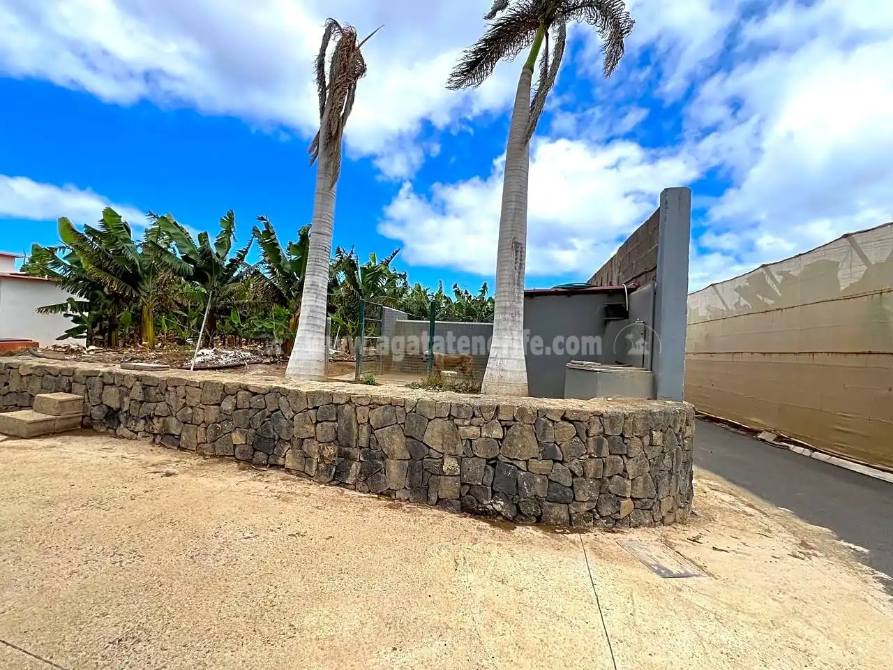 Vista exterior de Finca rústica en venta en Los Silos con Jardín privado y Terraza