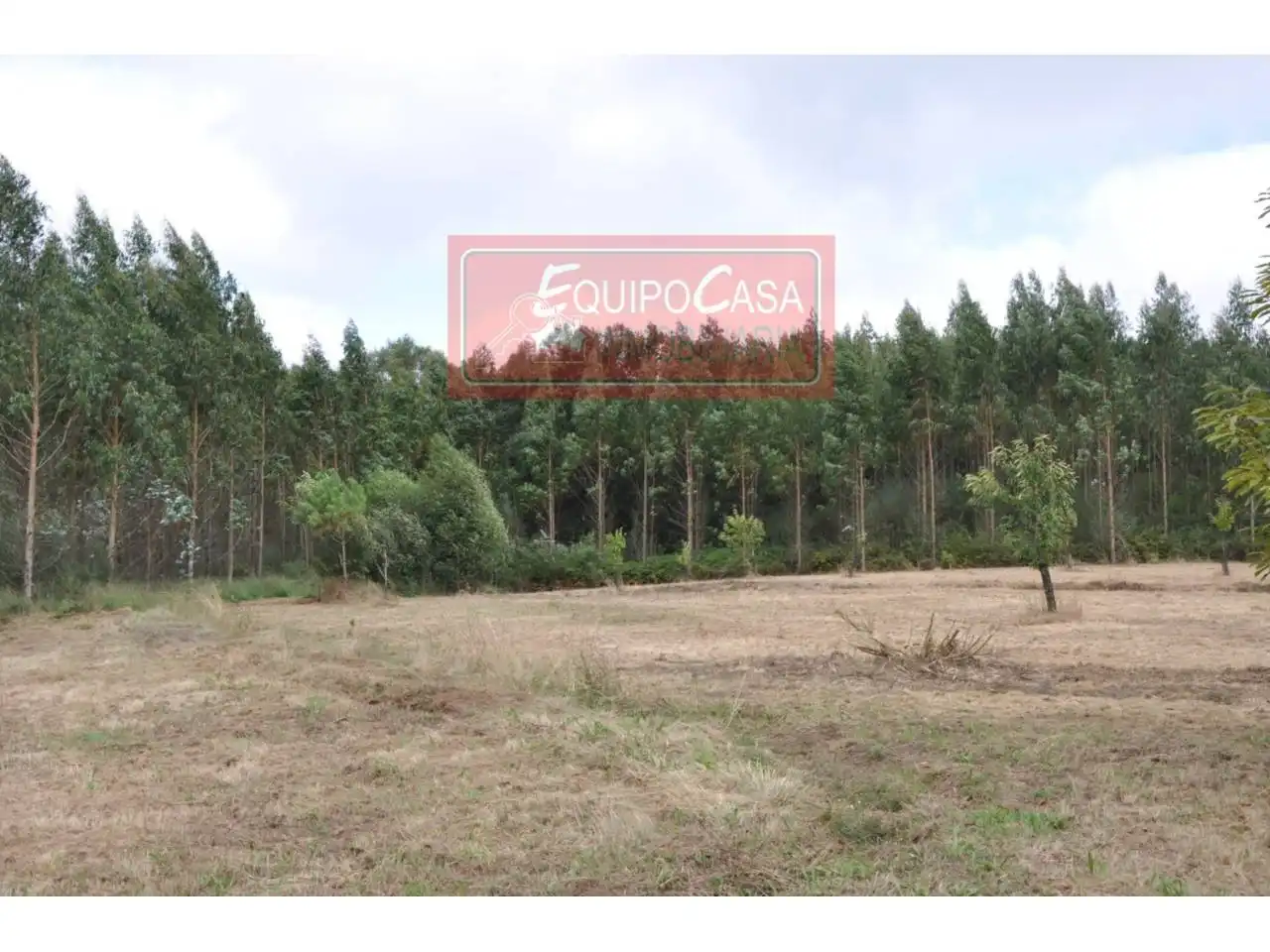 Casa o chalet en venta en Monterroso con Jardín privado y Alarma