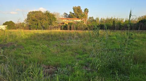 Photo 4 of Land for sale in Oliva Nova, Valencia
