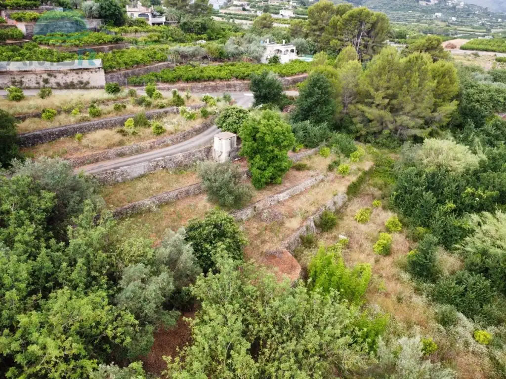 Rural land for sale in Partida Castello, imagen 2