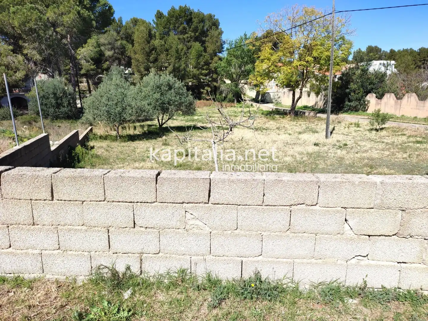 Terreny residencial en venda a L'Alcúdia de Crespins, imagen 5