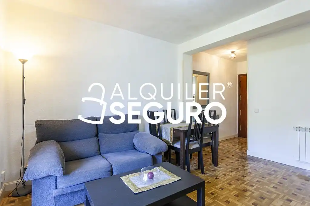 Sala de estar de Piso de alquiler en Madrid con Calefacción, Terraza y Amueblado