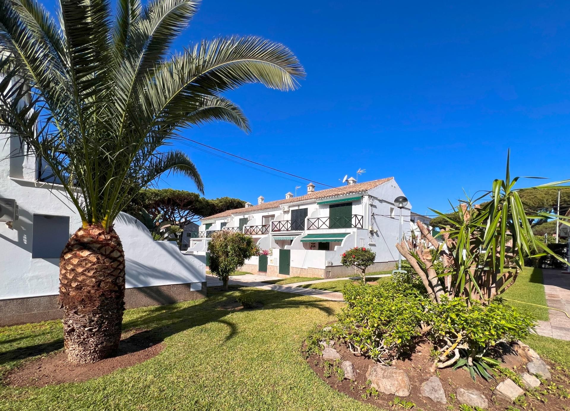 Vista exterior de Casa adosada en venda en Chiclana de la Frontera amb Aire condicionat, Calefacció i Jardí privat