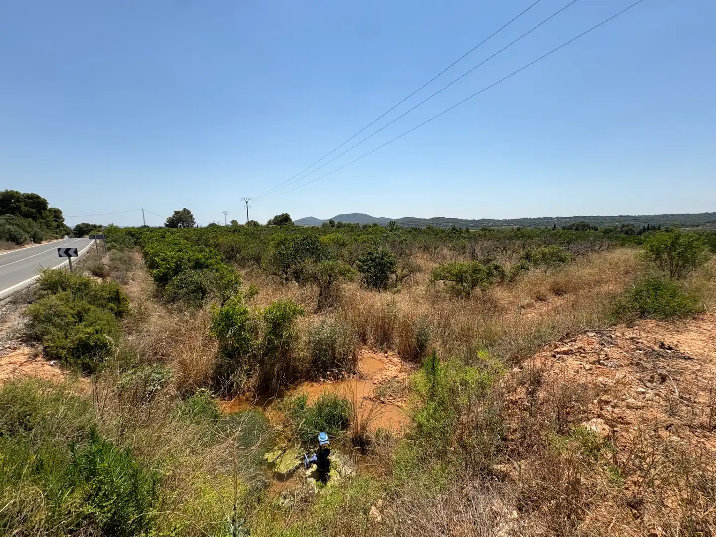 Land for sale in Vilamarxant