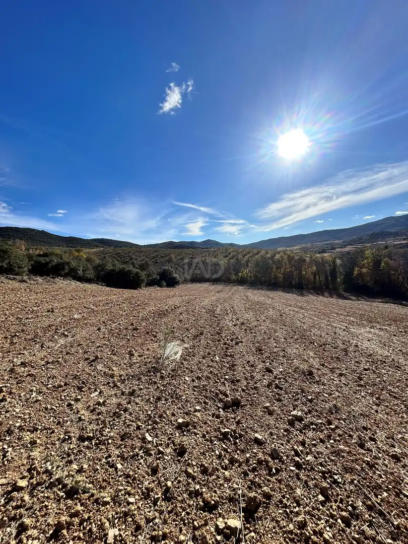Land for sale in Encinacorba