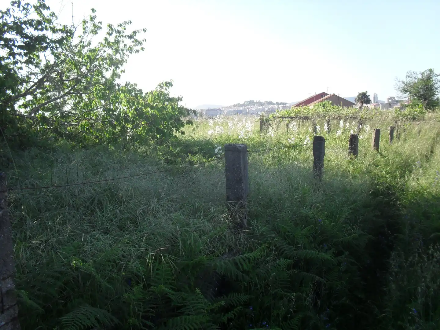 Casa o chalet en venta en Vigo 