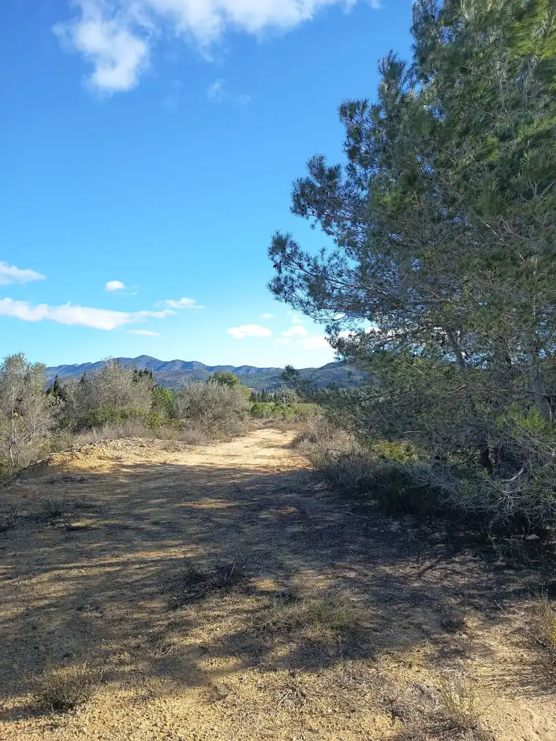 Finca rústica en venda en Ulldecona