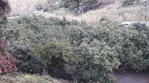 Foto 4 de Casa o chalet en venta en Frigiliana, Málaga