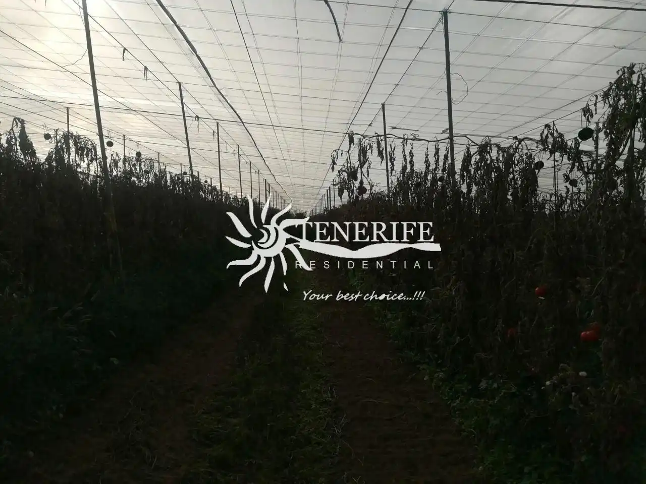 Terrenos y solares en venta en TF-82, imagen 8