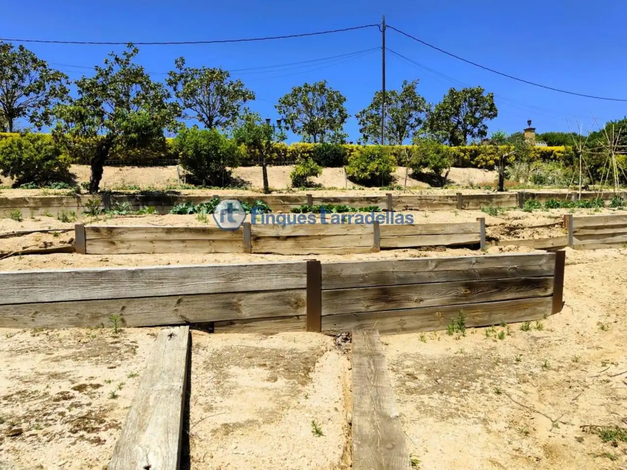 Rural land for sale in Mas Mora - Sant Daniel, imagen 59