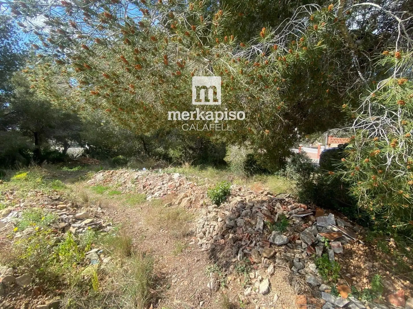 Terreny rústic en venda a Valldemar - Montmar, imagen 15