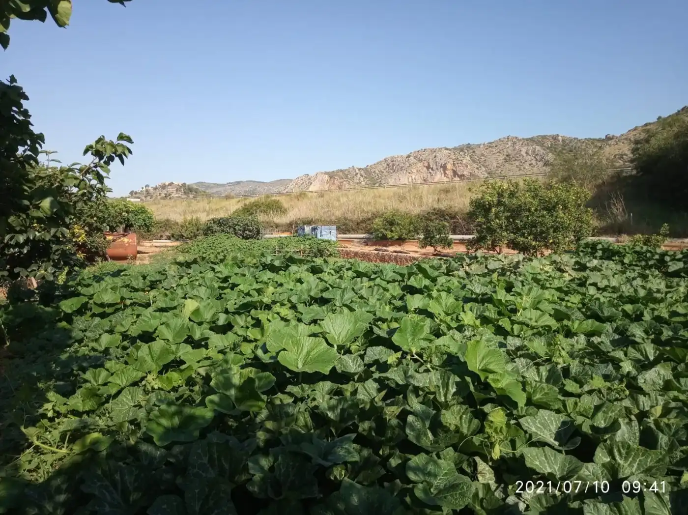 Terreny rústic en venda a Norte, imagen 4