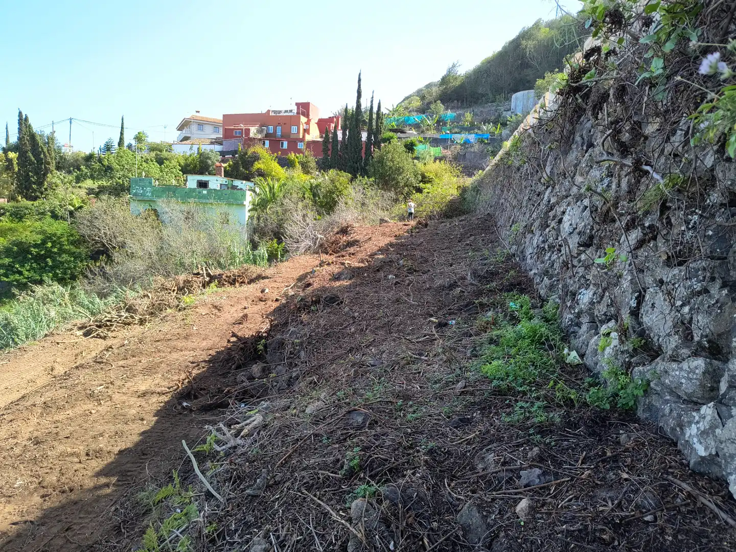 Land for sale in Carretera Vieja a la Vega, 5, La Vega - El Amparo - Cueva del Viento