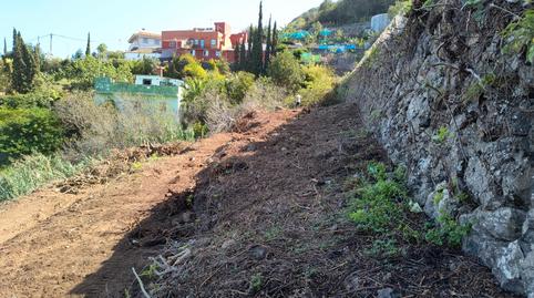 Photo 5 of Land for sale in Carretera Vieja a la Vega, 5, La Vega - El Amparo - Cueva del Viento, Icod de los Vinos