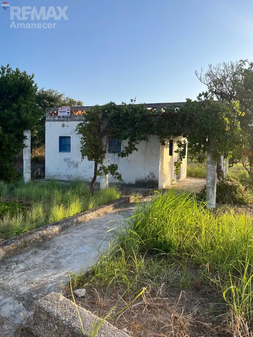 Vista exterior de Casa o xalet en venda en Pego