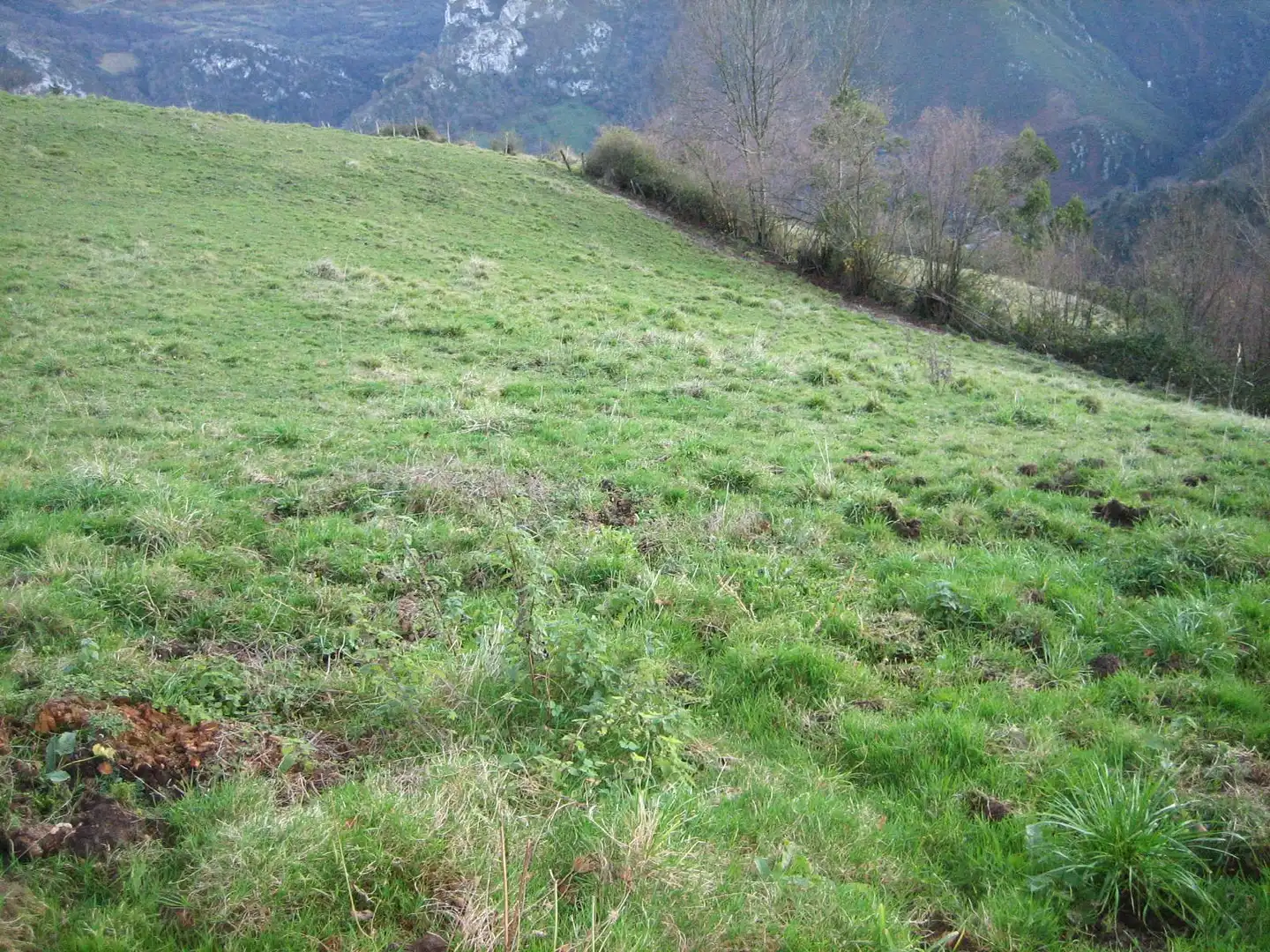 Terreny rústic en venda a Grado, imagen 41