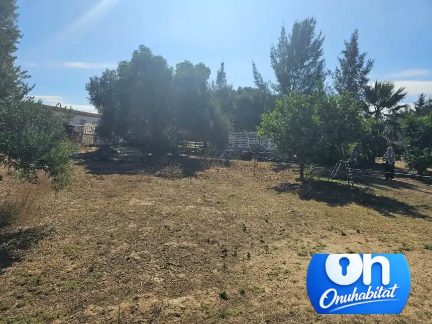 Terrenos y solares en venta en Gibraleón, imagen 19