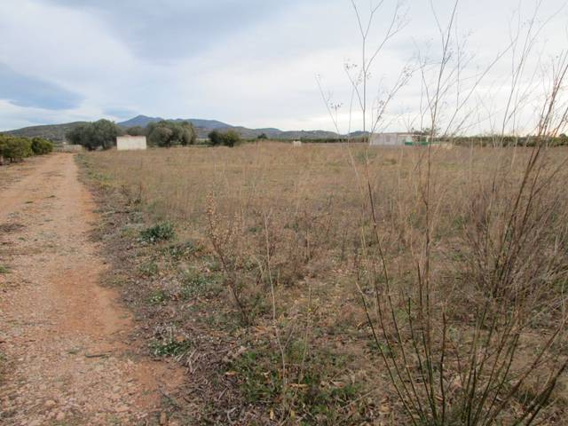 Terreno en Venta en Partidas de interior - Zona Rústica